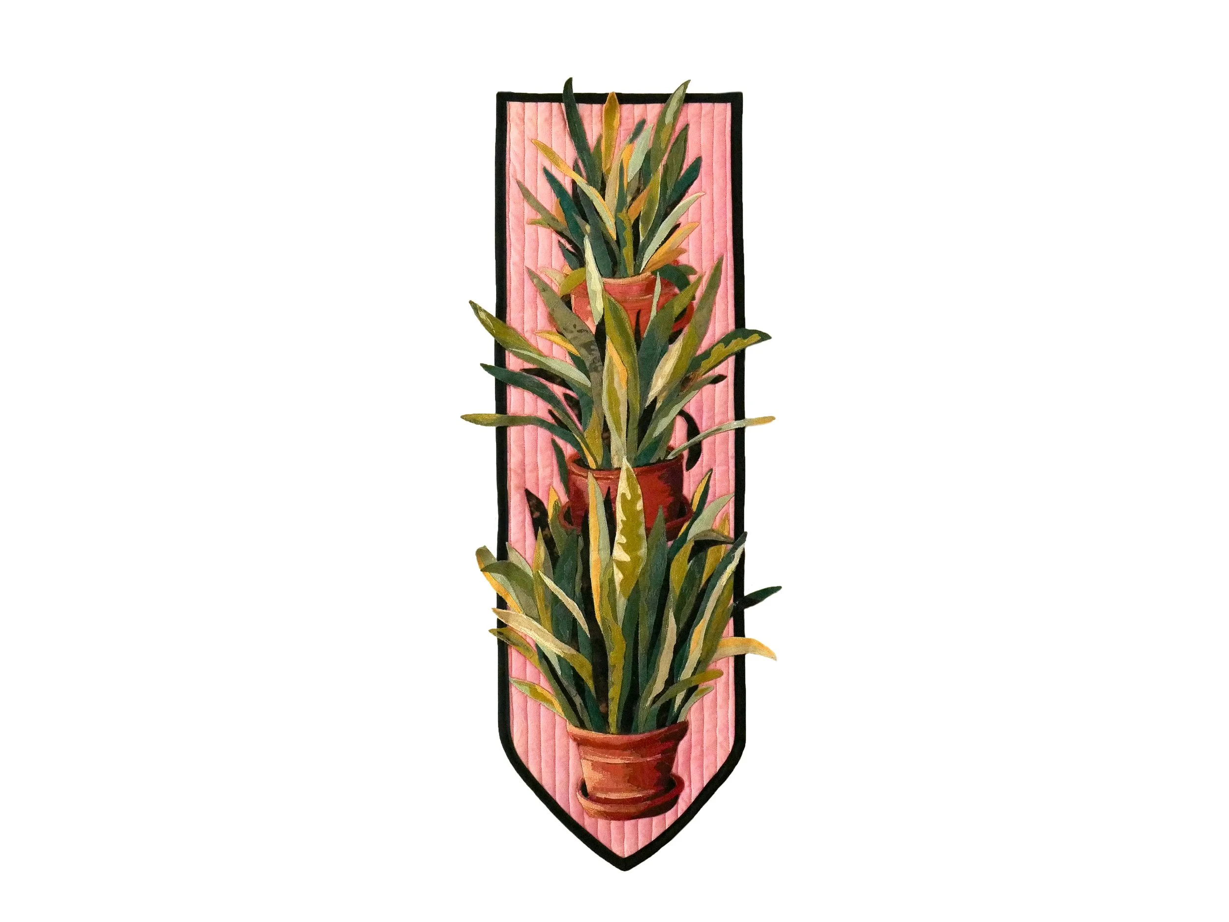 ATLAIM_snake_plants_01.jpg