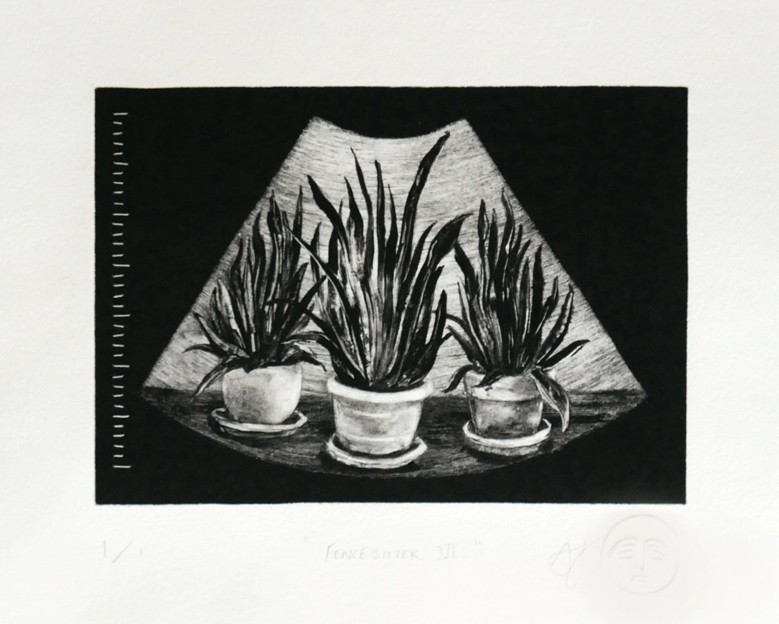 Fencesitter VI.

Alt Text: Black and white monotype print of a sonogram containing a still life of three potted snake plants