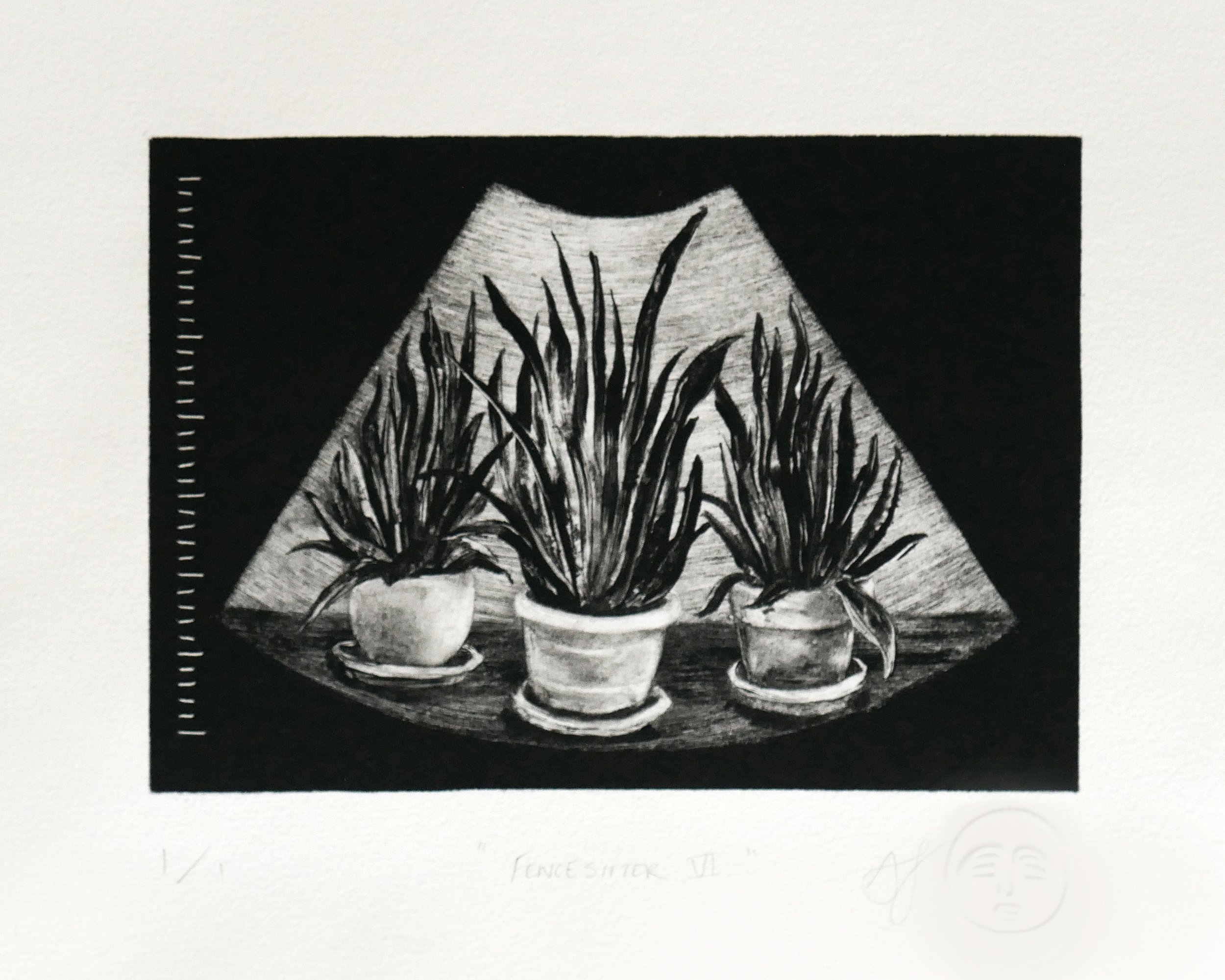 Black and white monotype print of a sonogram containing a still life of three potted snake plants