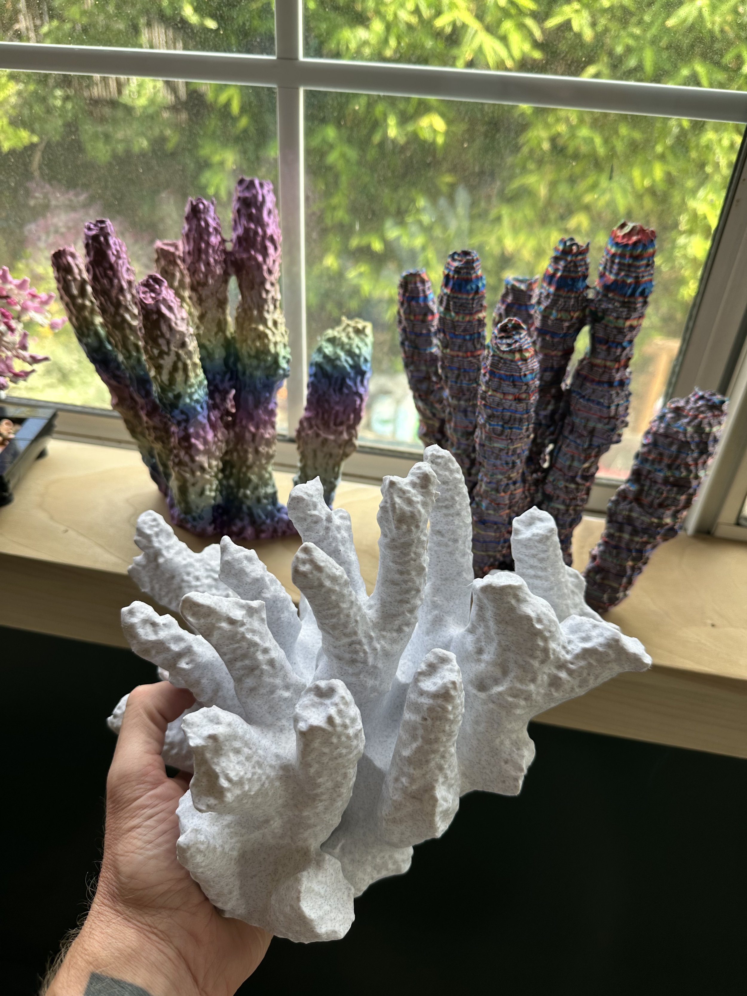 Coral Sculpture