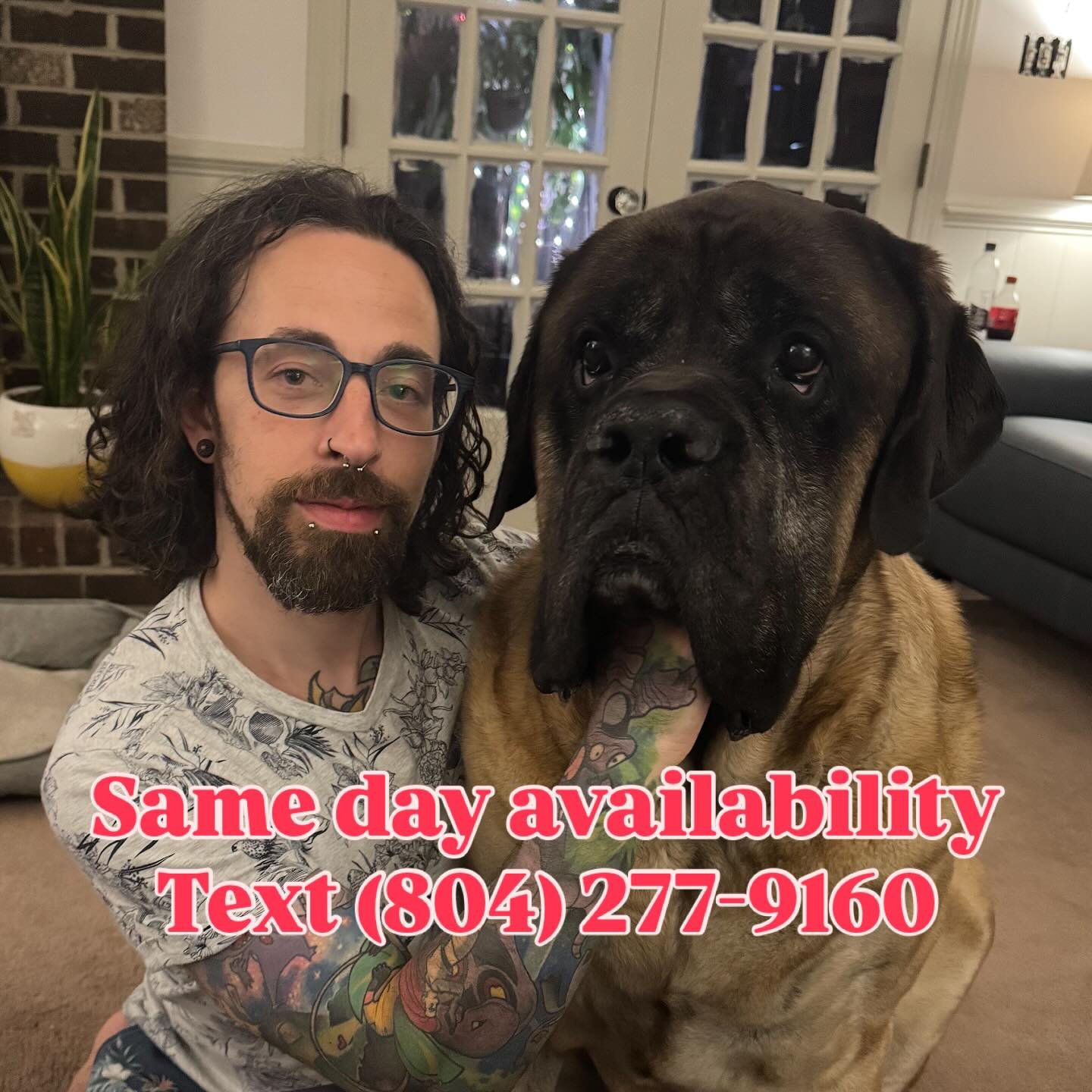 Brutus demands you look fabulous and today might be your chance! We have same day availability for all services 

Solstice-hair.book.app