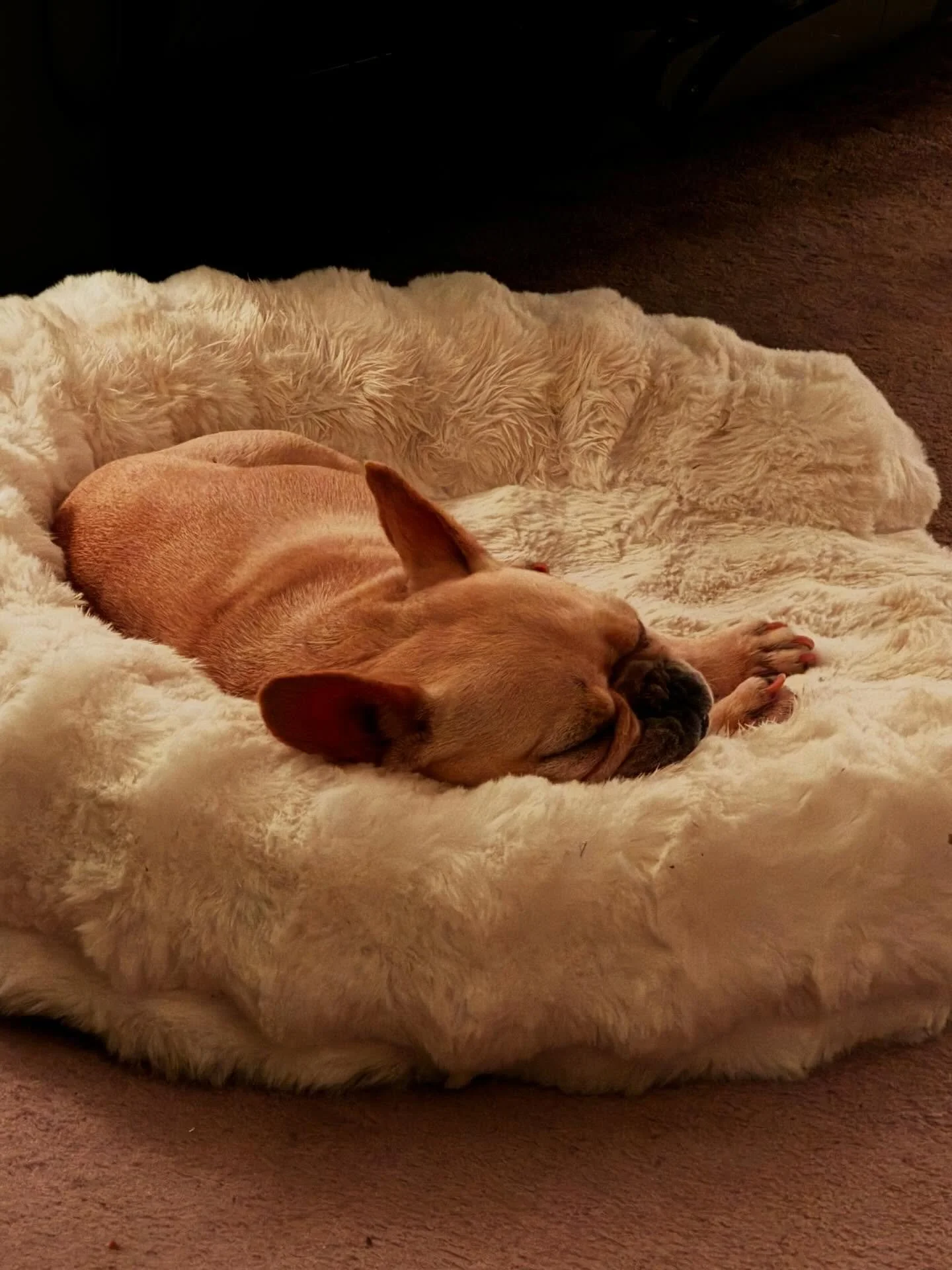 I&rsquo;ve never seen Pinocchio&hellip;until now