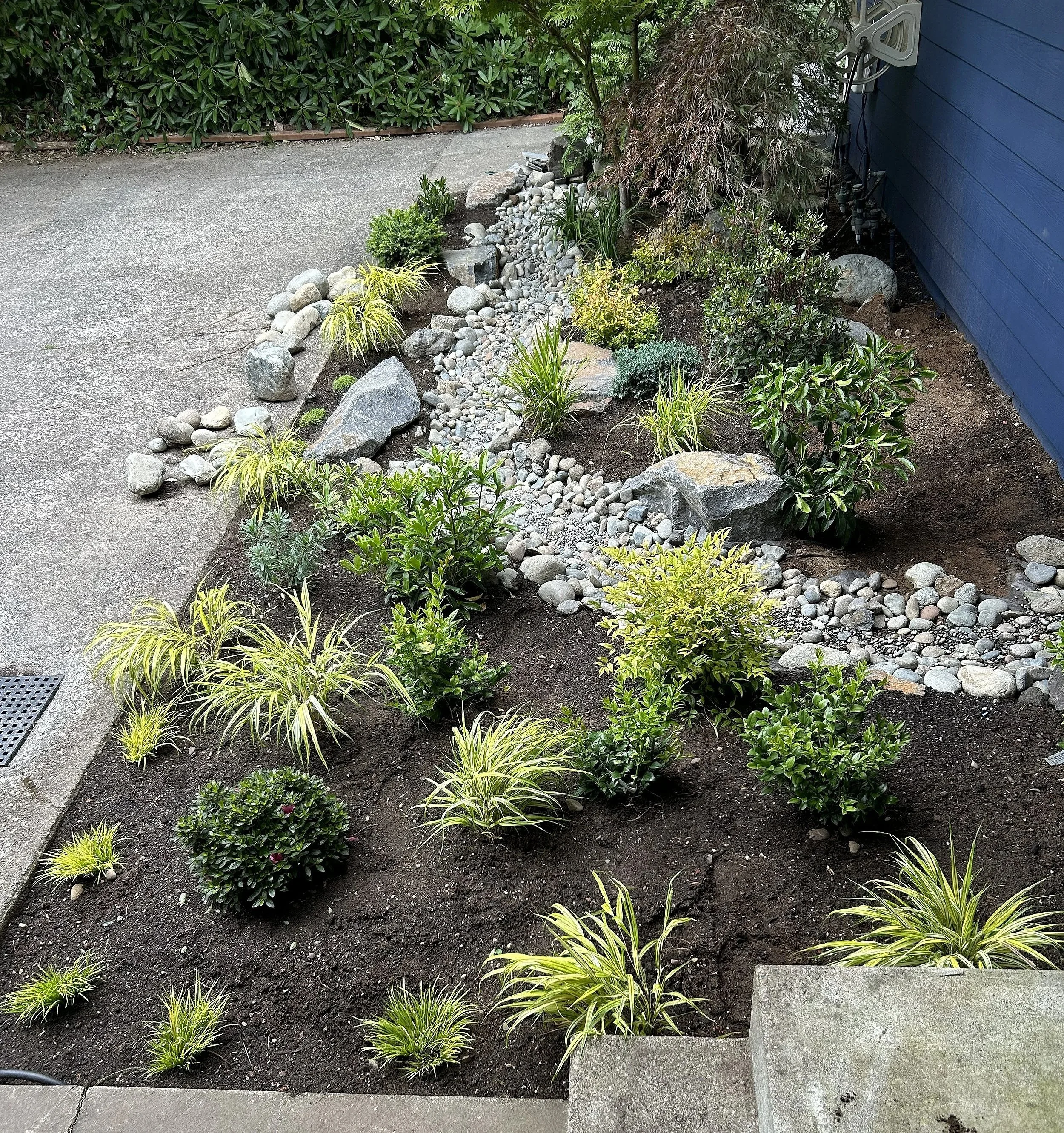 Dry creek bed in Gig Harbor area crafted by 7 Lamps Construction (Gig Harbor). www.7lamps.com