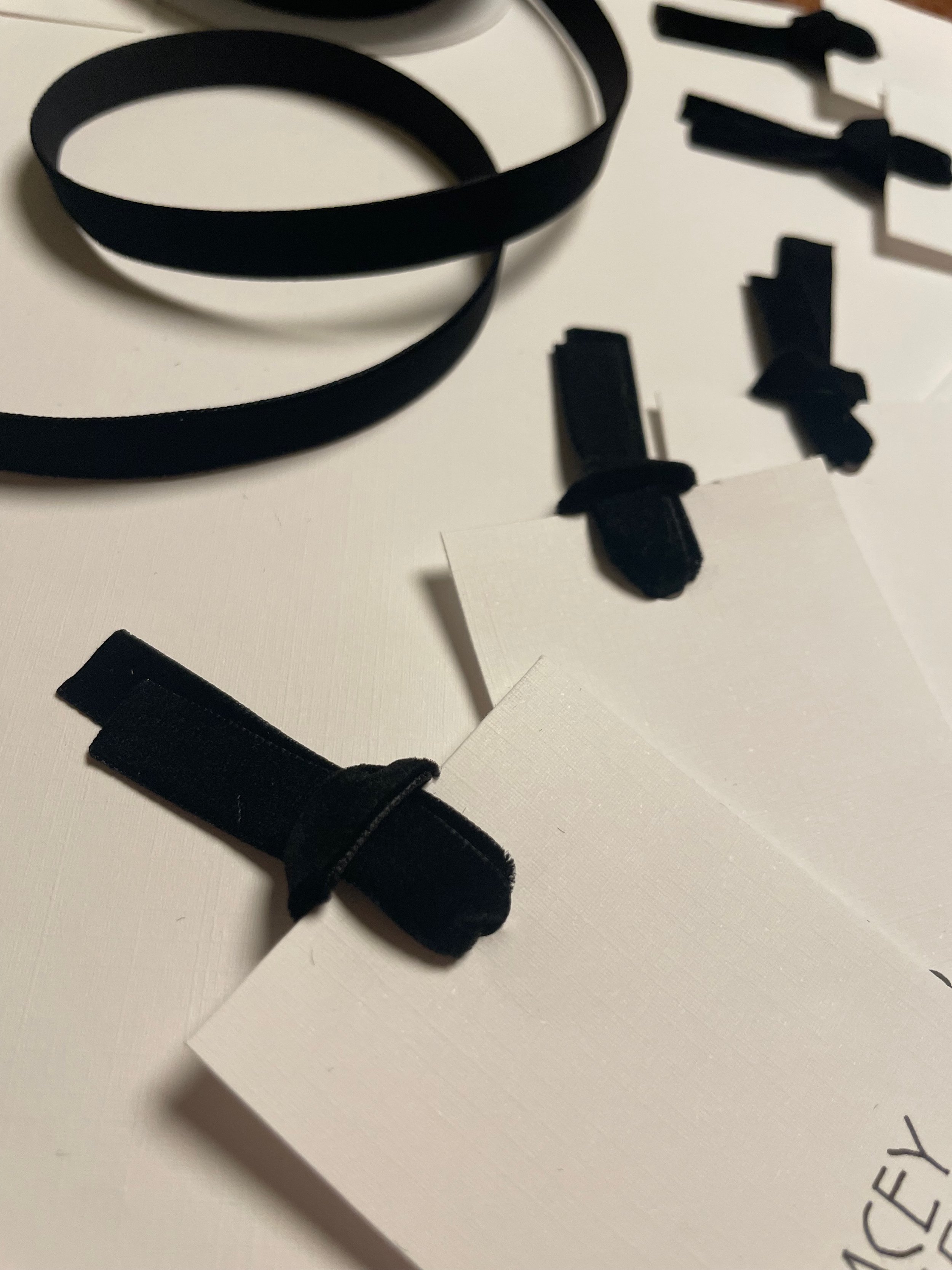 Toronto_placecard_calligraphy_blackvelvet.jpeg