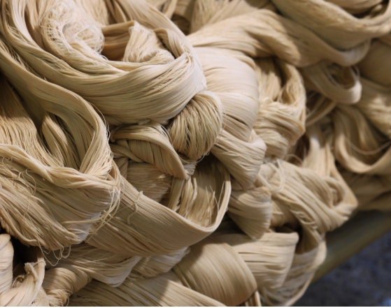 Daruma Sashiko Thread Thick (20/6), 30m.