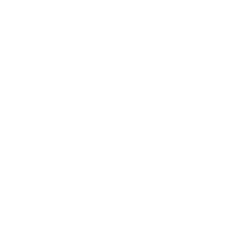 LOGO WINNING SPIRIT.png