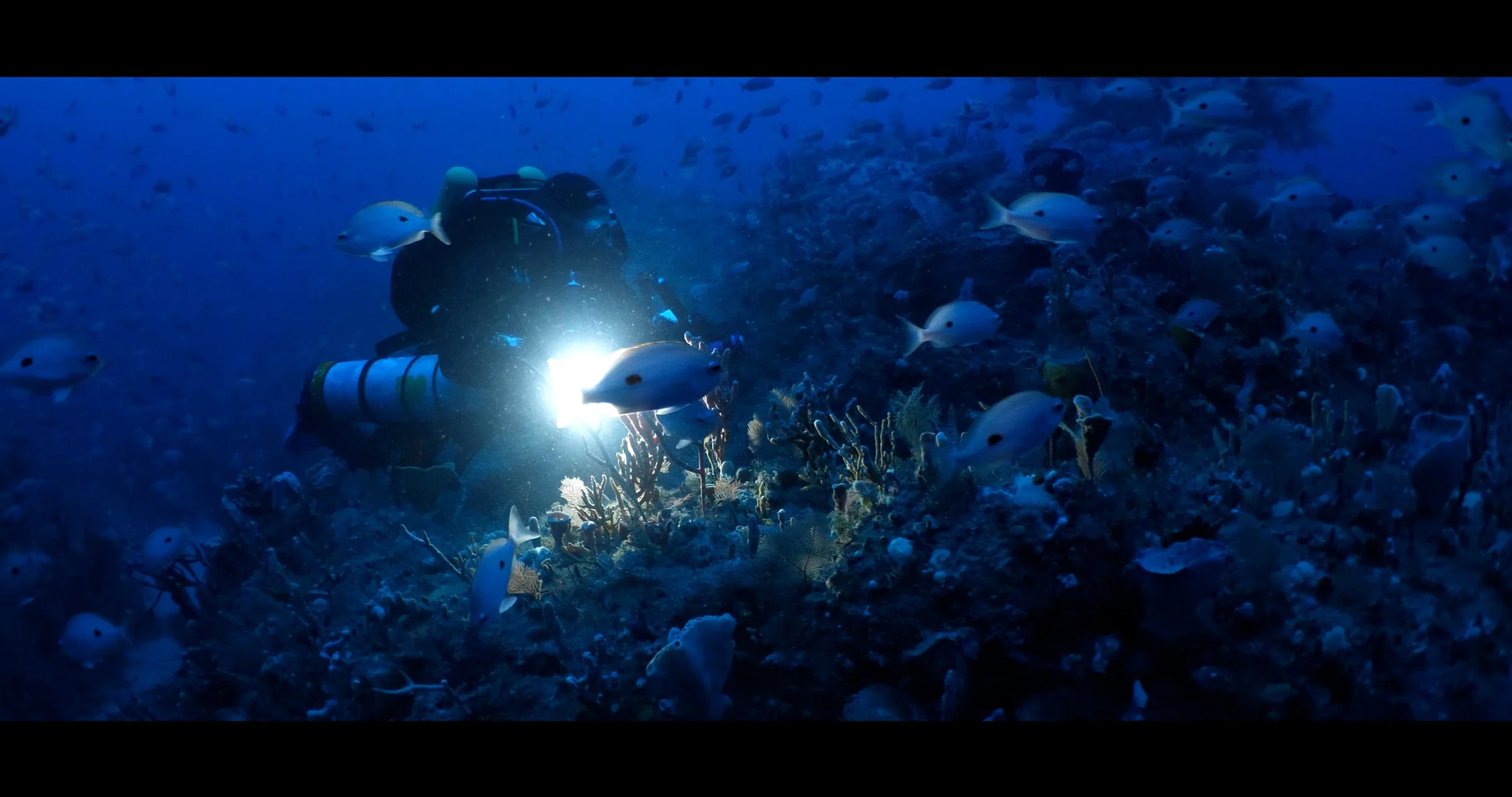 OBH_RebreatherDiver_01.jpg