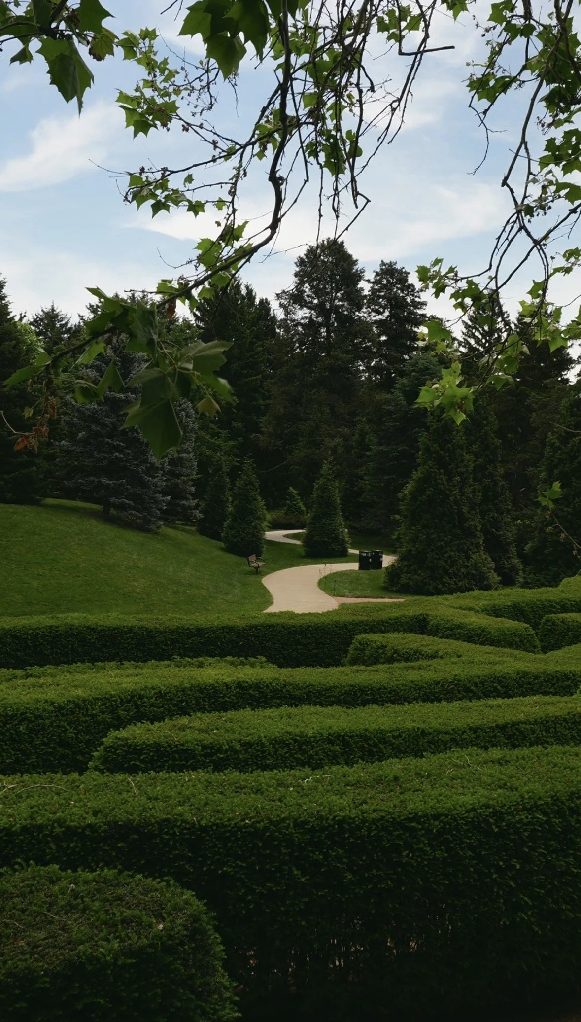 IMG_0583.jpeg