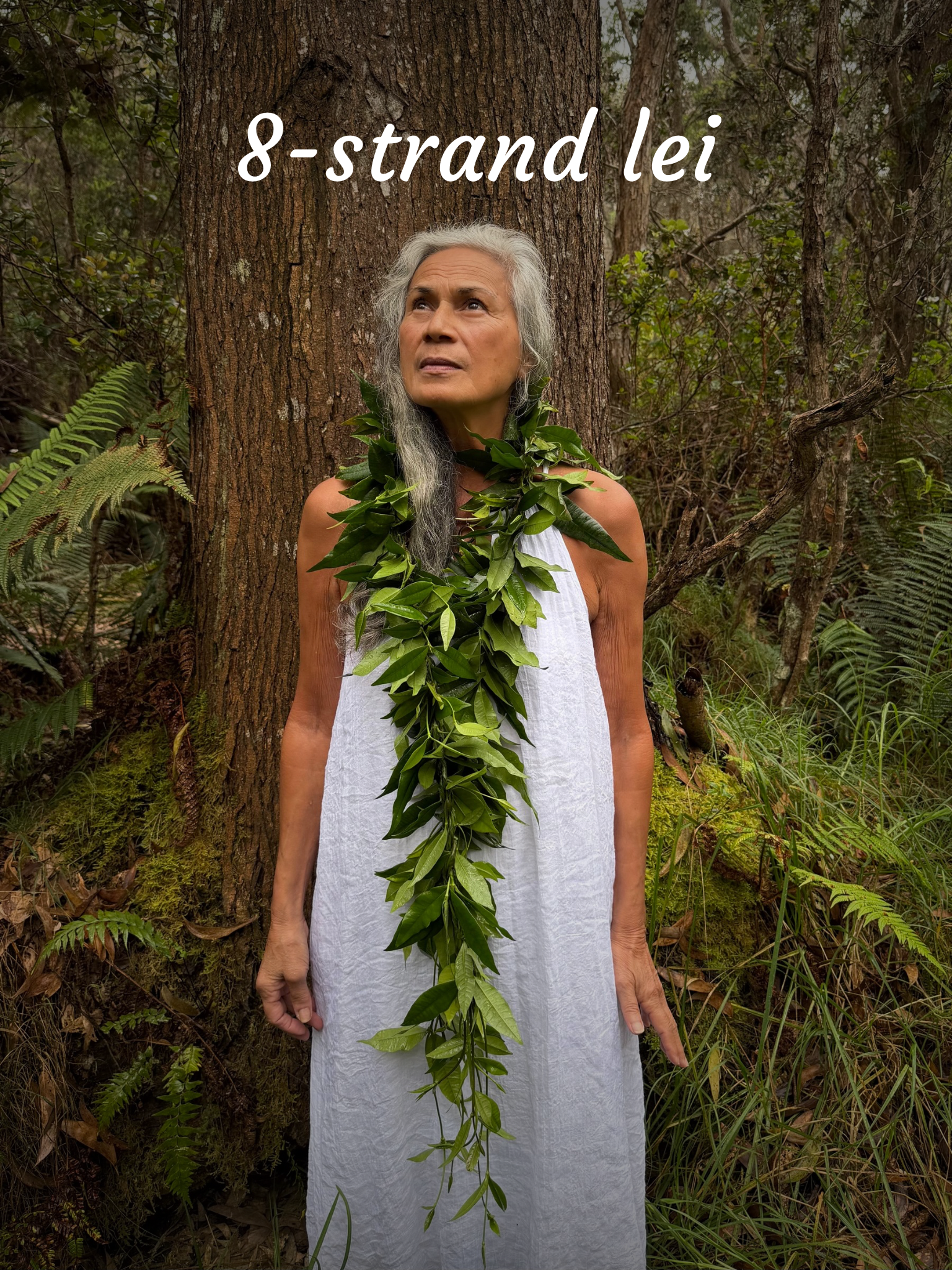 Lei Maile