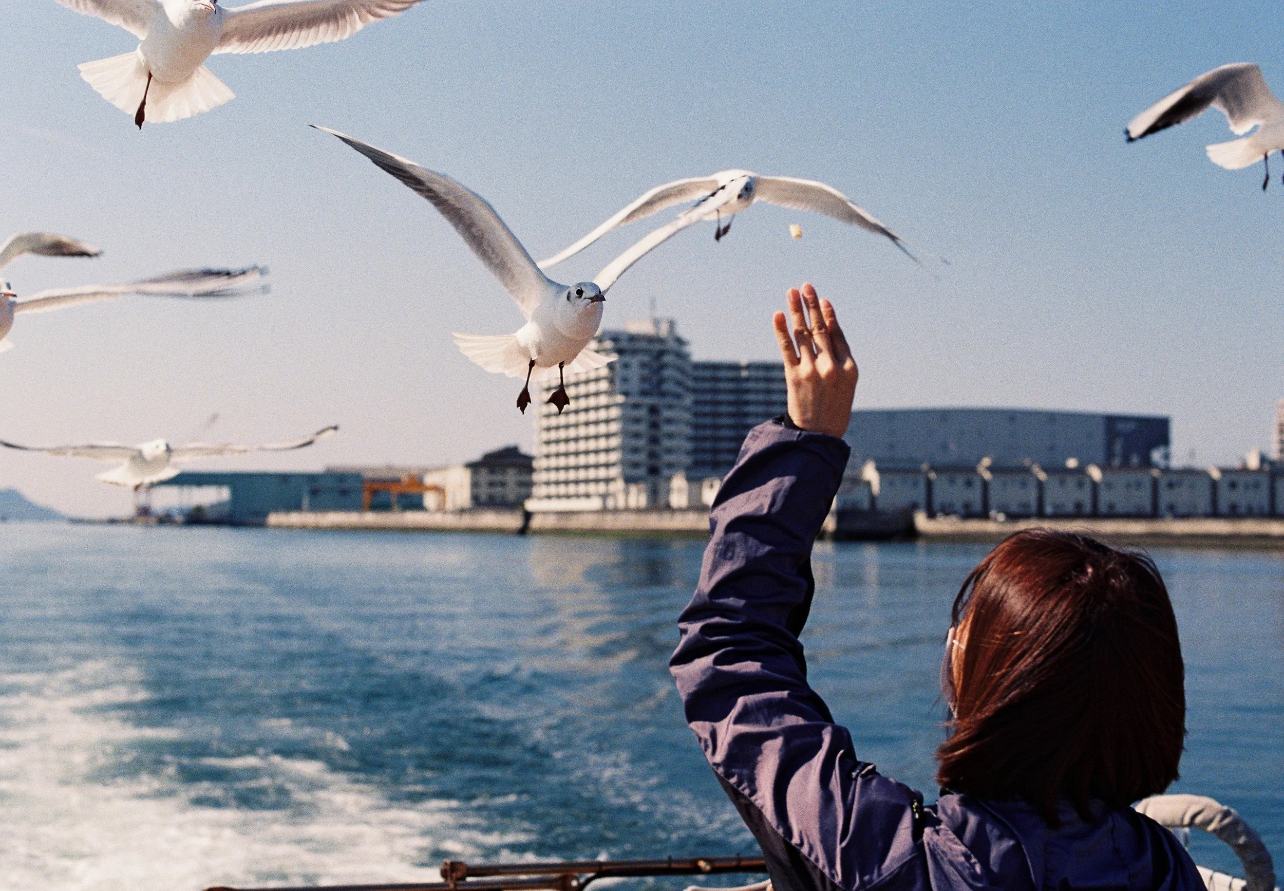 0308212_0060.JPG