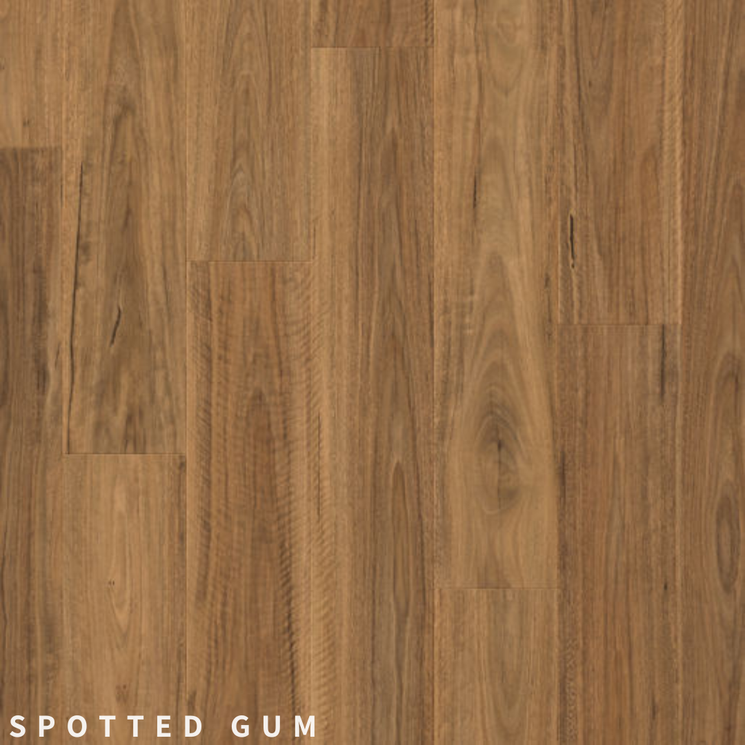 Quick-Step Impressive Spotted Gum.png