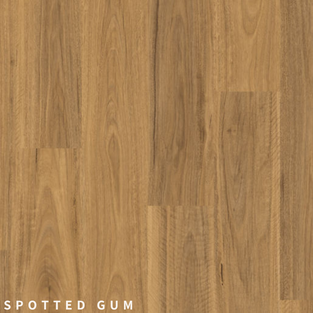 Quick-Step Classic Spotted Gum.png