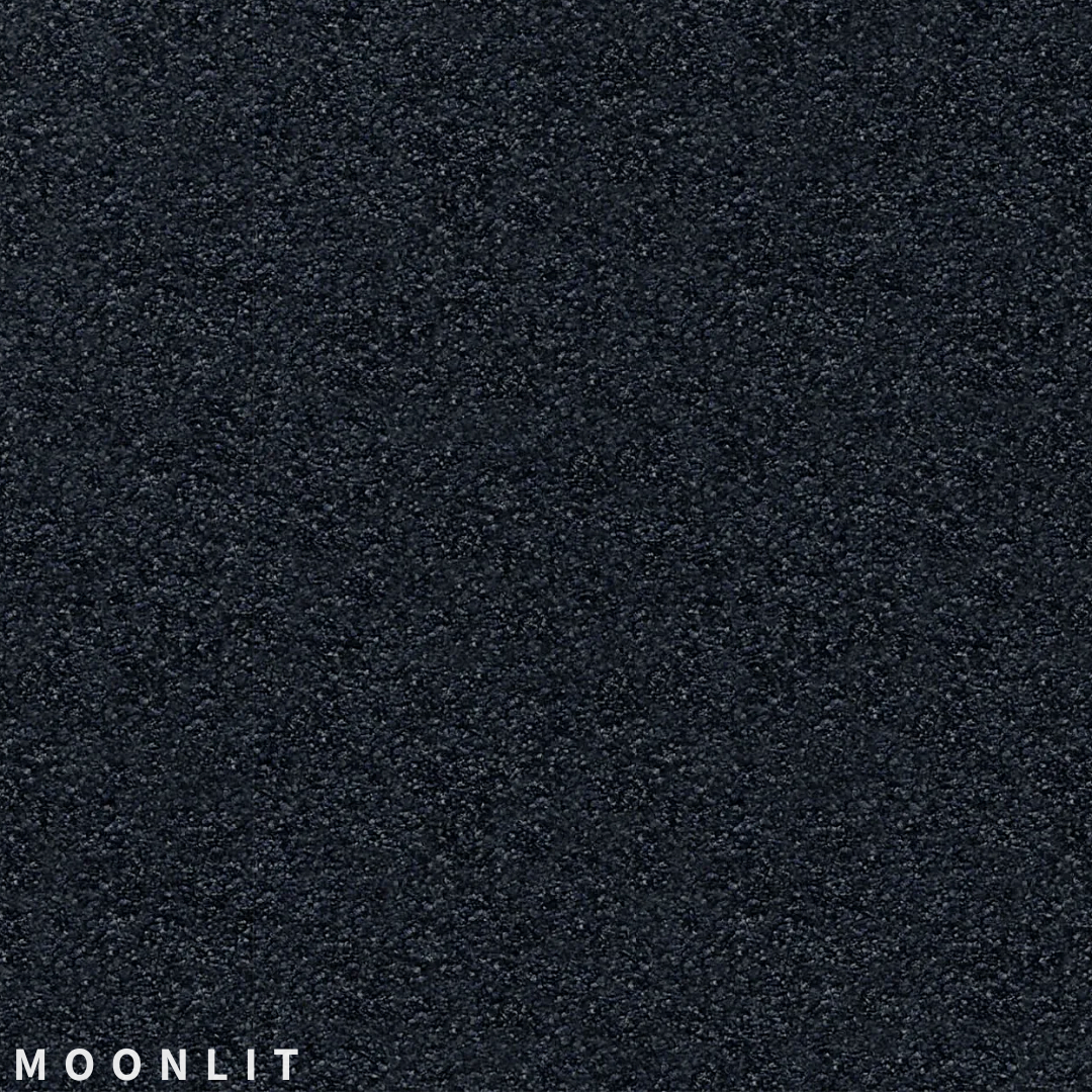 Feltex Te Arai Bay Moonlit.png