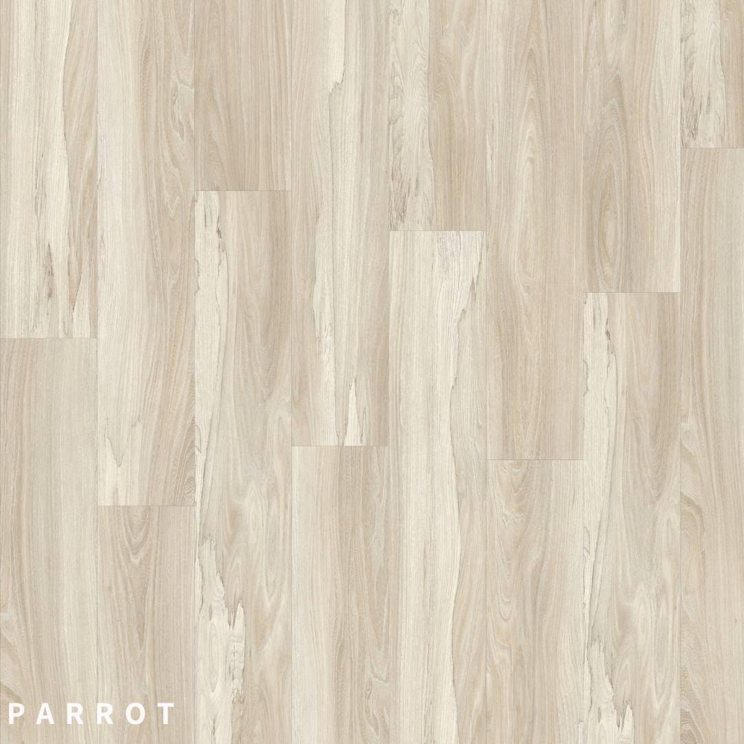 Moduleo Transform Parrot 22248.png
