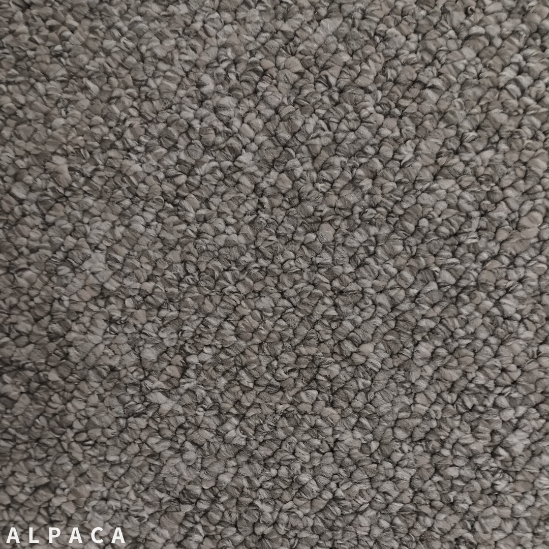 Belgotex Moroccan Berber Alpaca.png