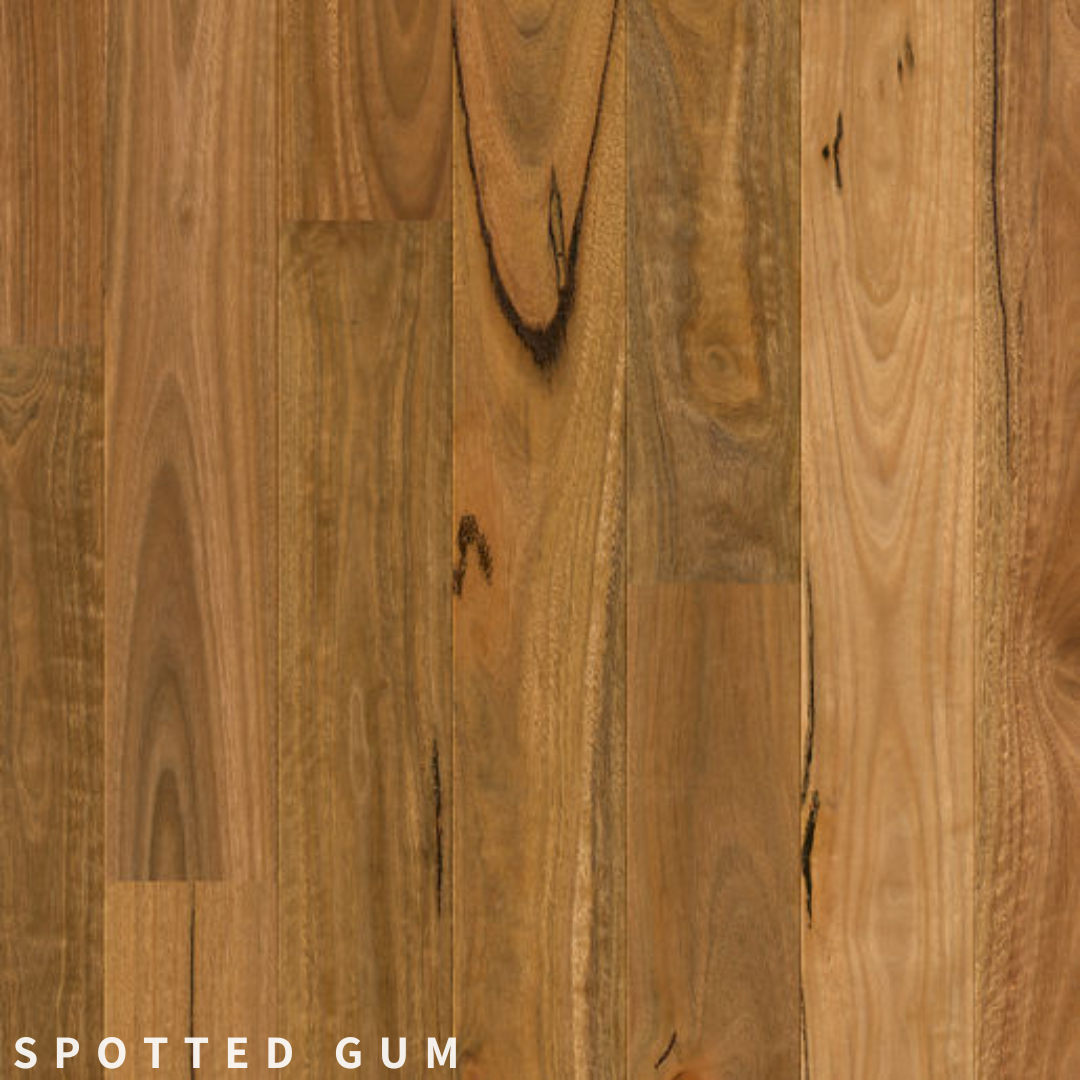 Quick-Step Amato Spotted Gum.png