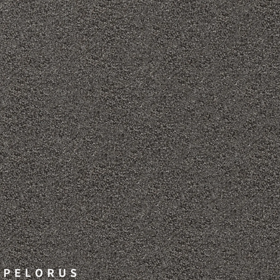 Feltex Te Arai Bay Pelorus.png