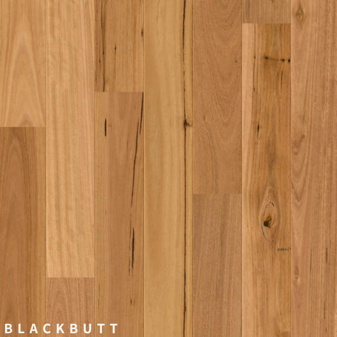 Quick-Step Amato Blackbutt.png