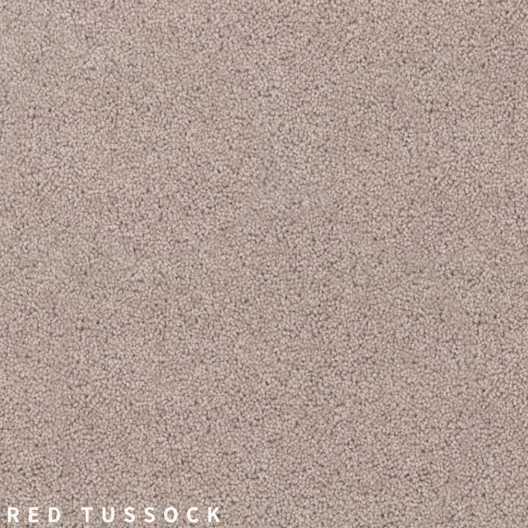 Godfrey Hirst Enchant 38 Red Tussock 188.png