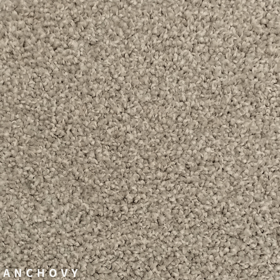 Godfrey Hirst Pleasant Point Anchovy 0920.png