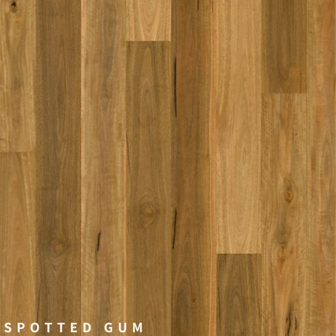 Quick-Step Cascada Spotted Gum.png