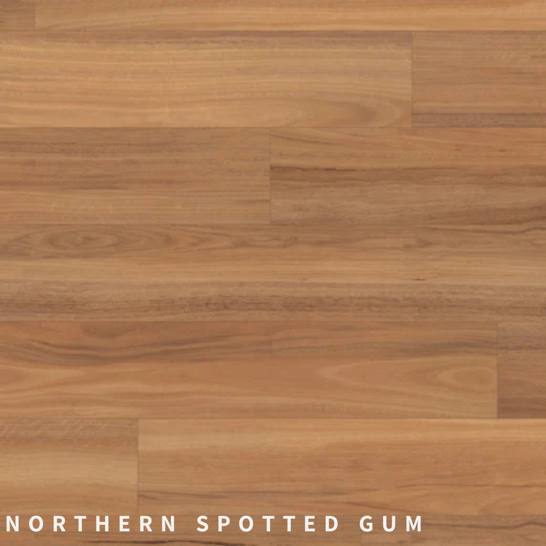 Van Gogh Northern Spotted Gum.png