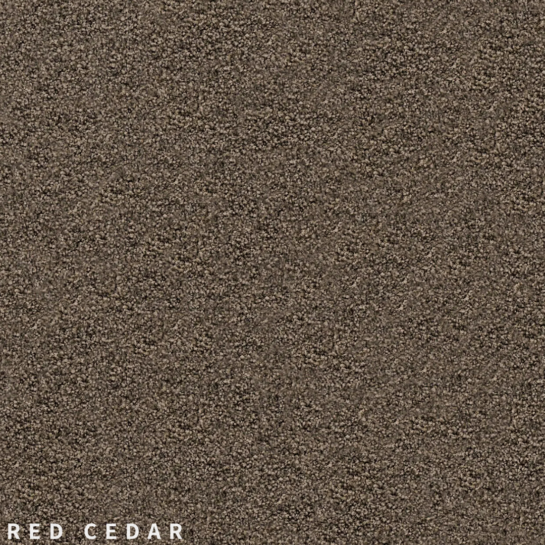Feltex Te Arai Bay Red Cedar.png