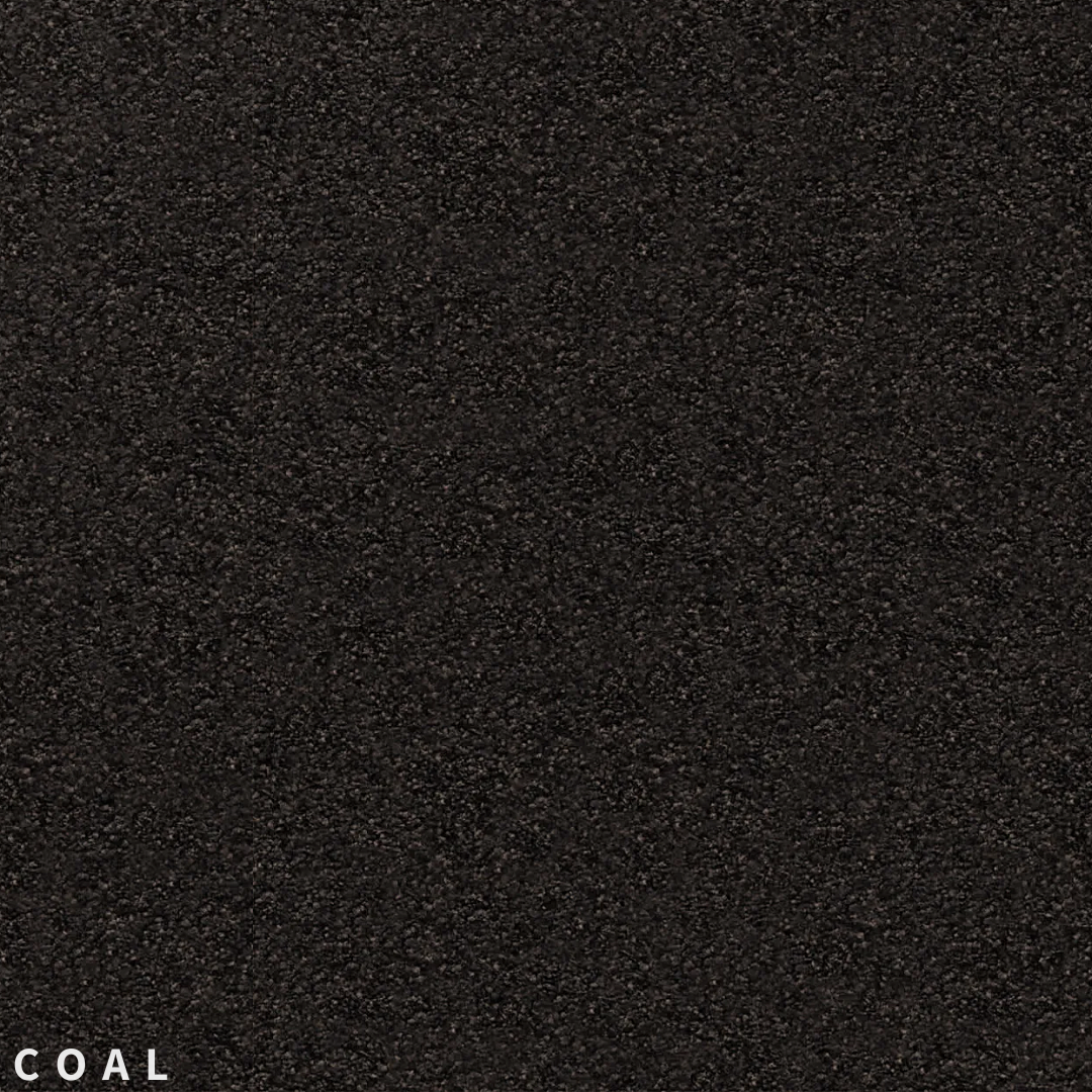 Feltex Te Arai Bay Coal.png