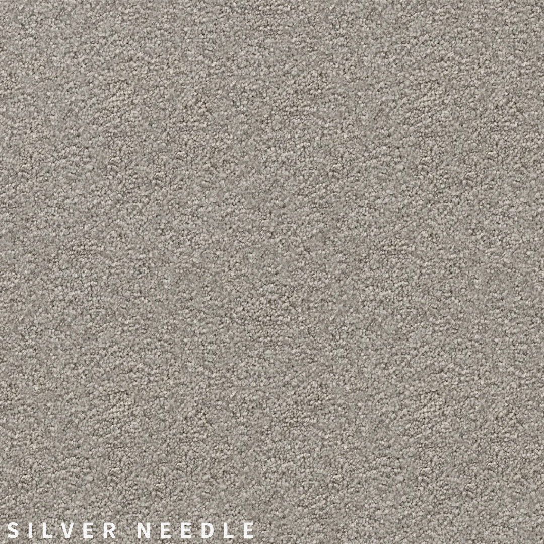 Feltex Te Arai Bay Silver Needle.png