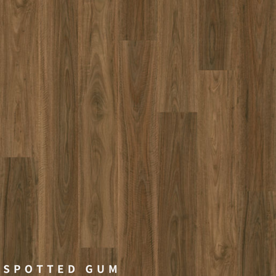 Quick-Step Majestic Spotted Gum.png