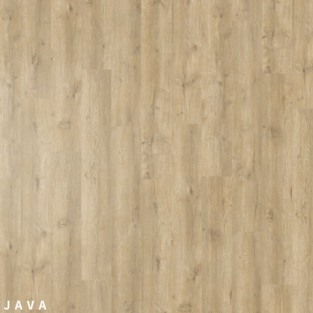 Godfrey Hirst Aaria Venti Java 340.png