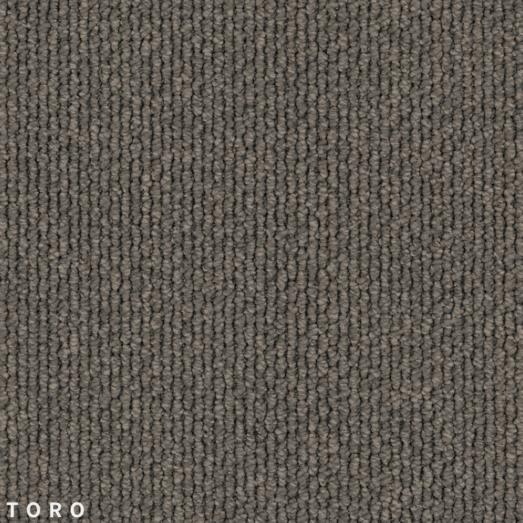 Jacobsen Andes Peak Toro.png