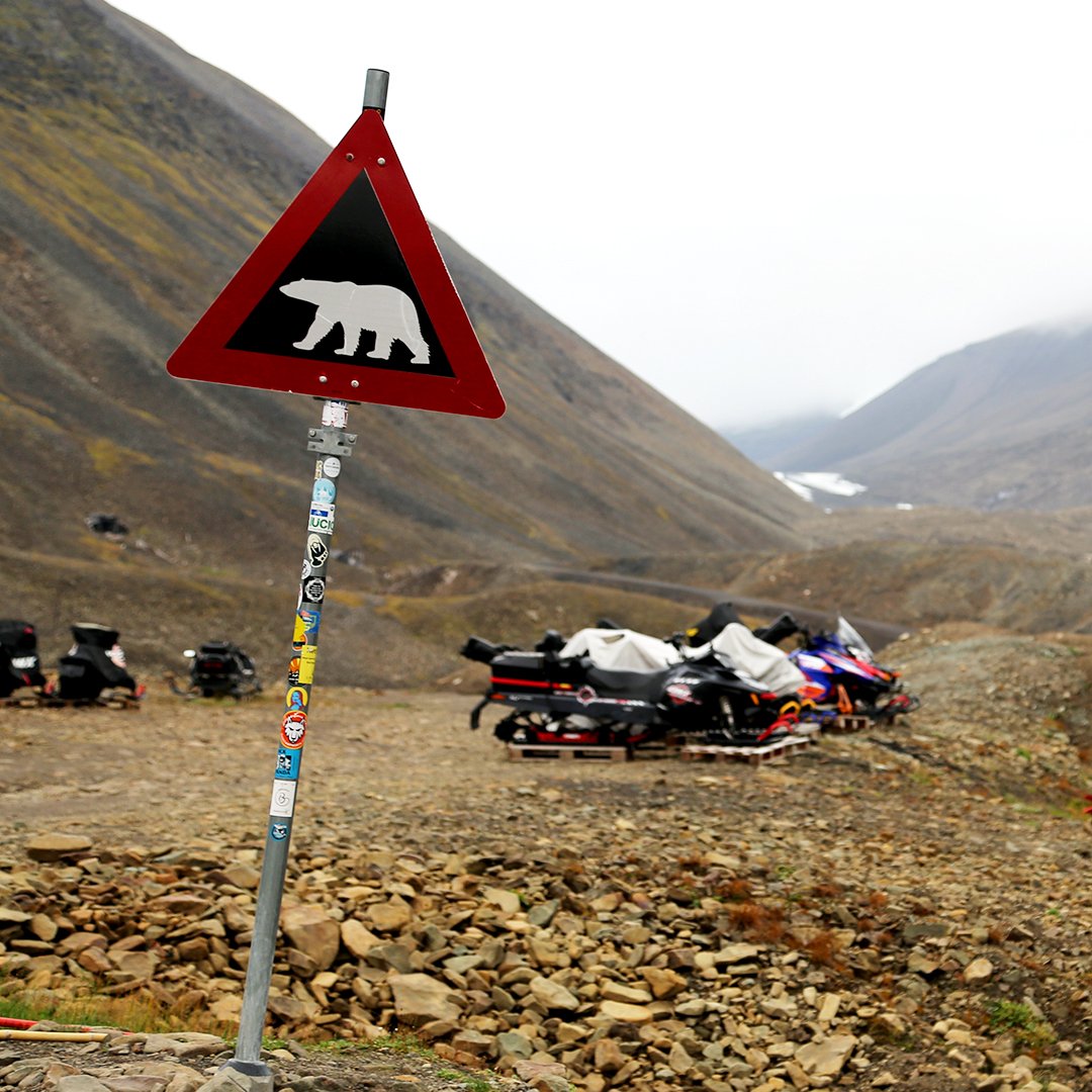 Polar bear sign Svalbard
