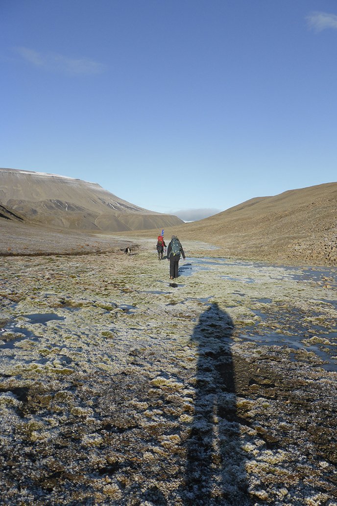 Out in the Arctic wild – beyond phone reception