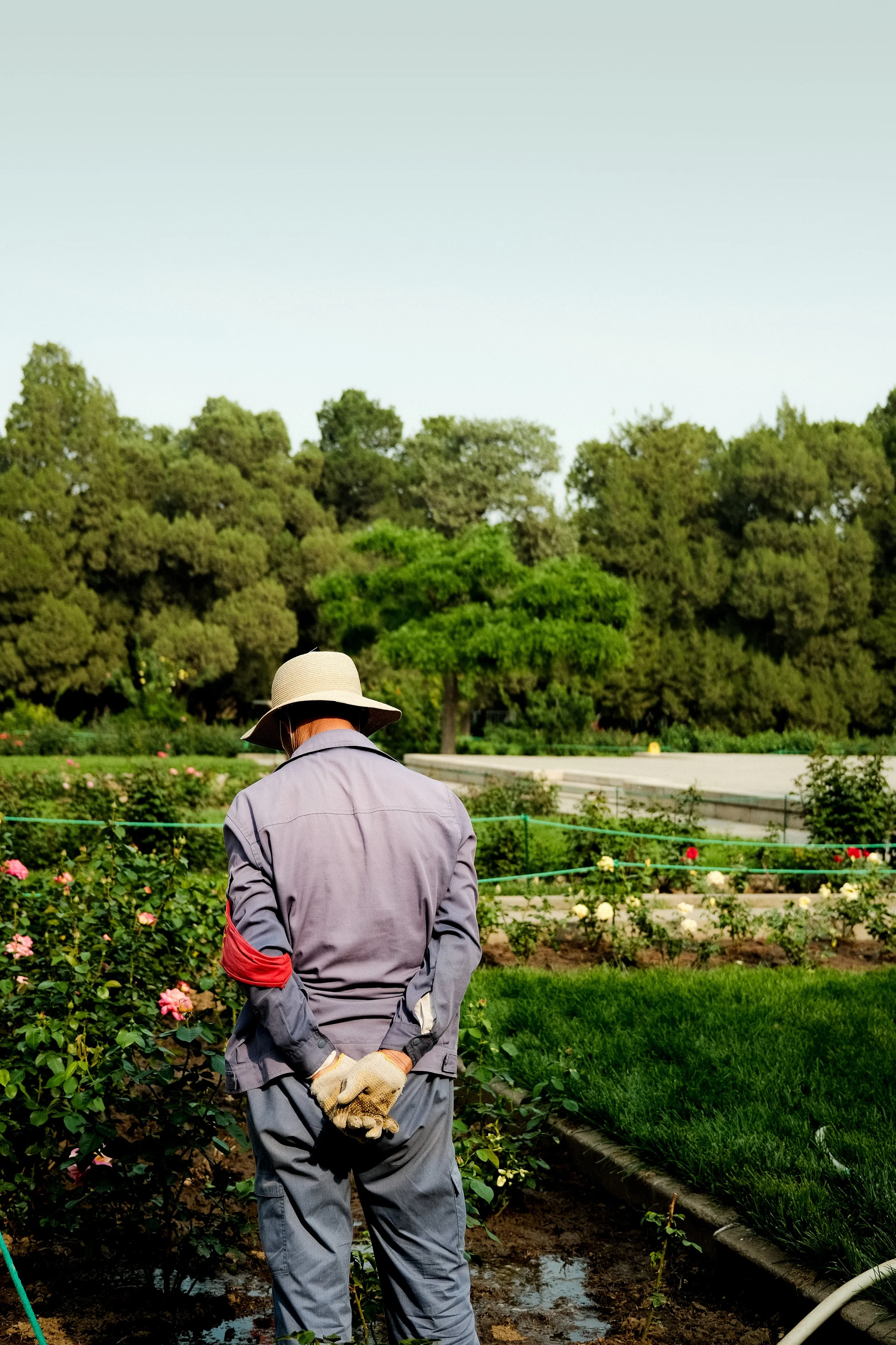 China-2024-Fujifilm-X100V-24.jpg