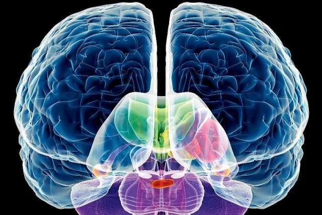 Physiotherapy and Huntington’s Disease: Supporting Mobility, Function, and Quality of Life