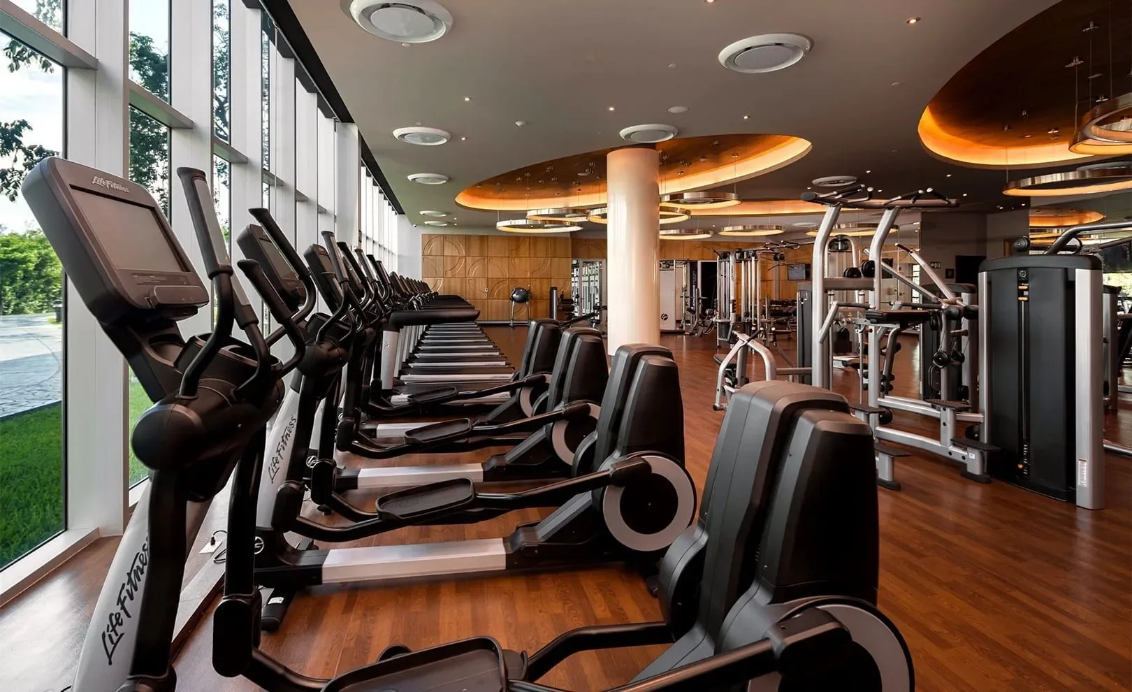gym_room_moon_palace_the_grand_e547c3c41f_ef5375a886.webp