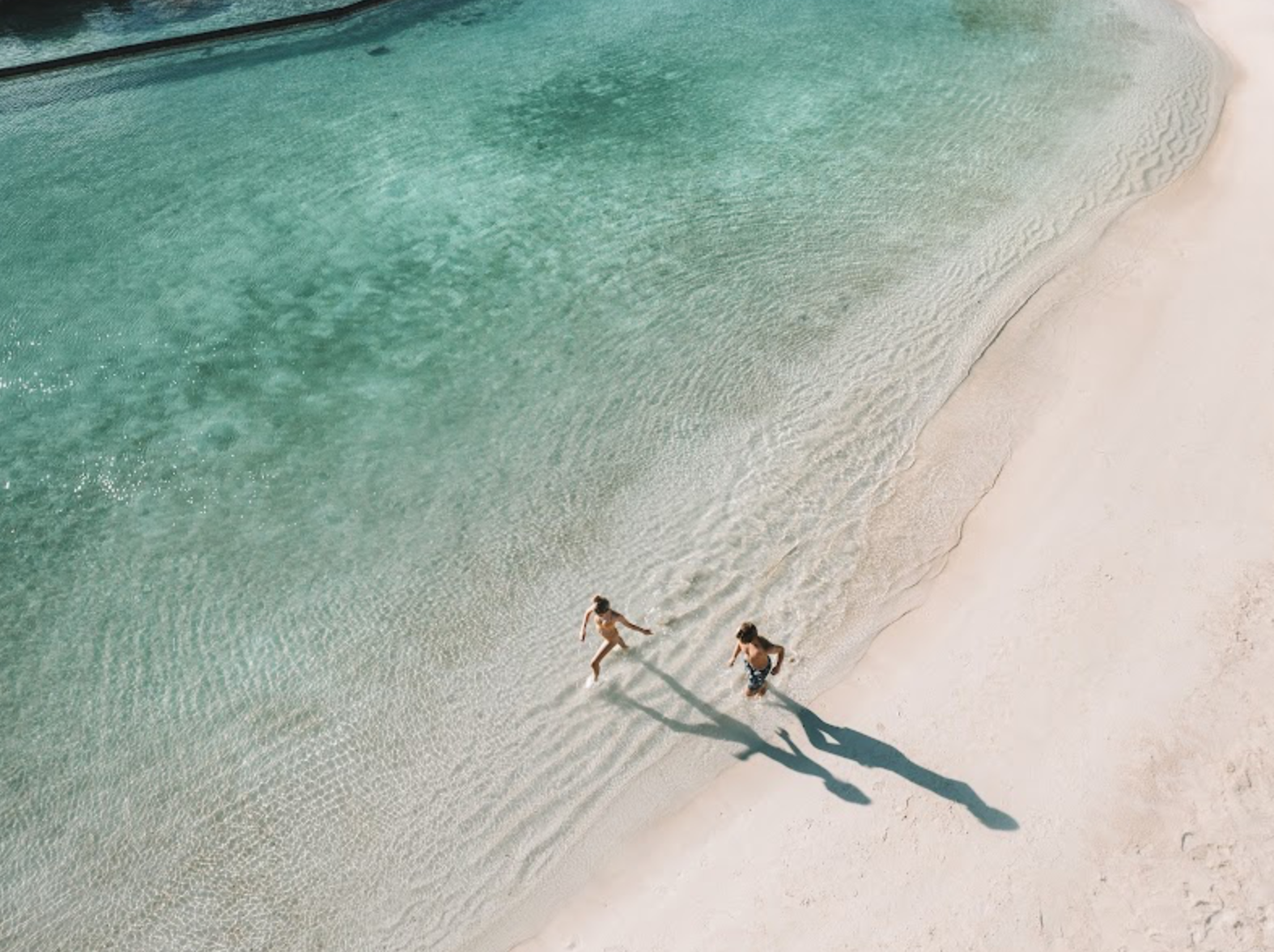 Screenshot 2026-02-13 at 8.19.21 PM.png