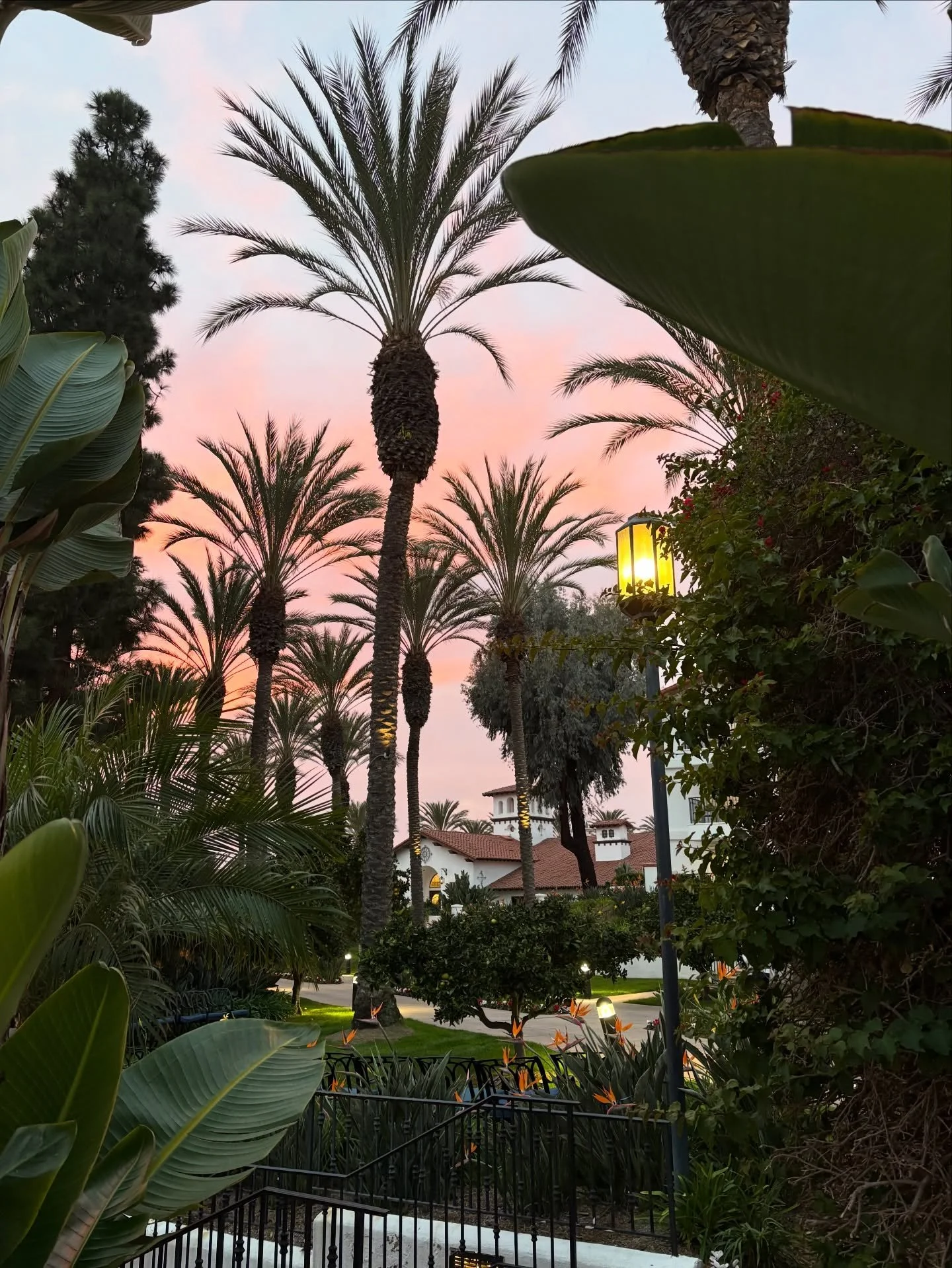 Ribbon Media exists to help brands show up clearly, strategically and consistently across their marketing. From social media management and listing campaigns to systems that actually support your business, our work is built to simplify &mdash; not ov