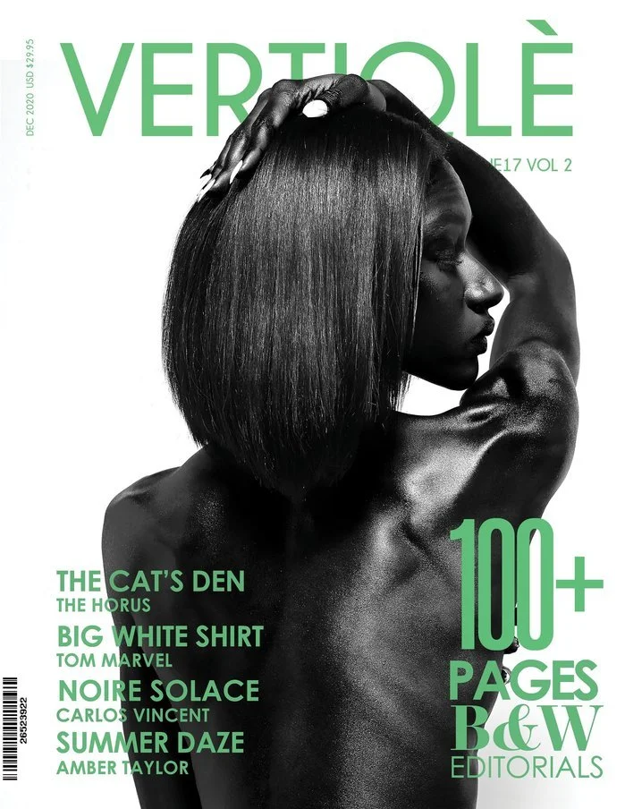 VertiqleIssue17Vol02Cover.jpg