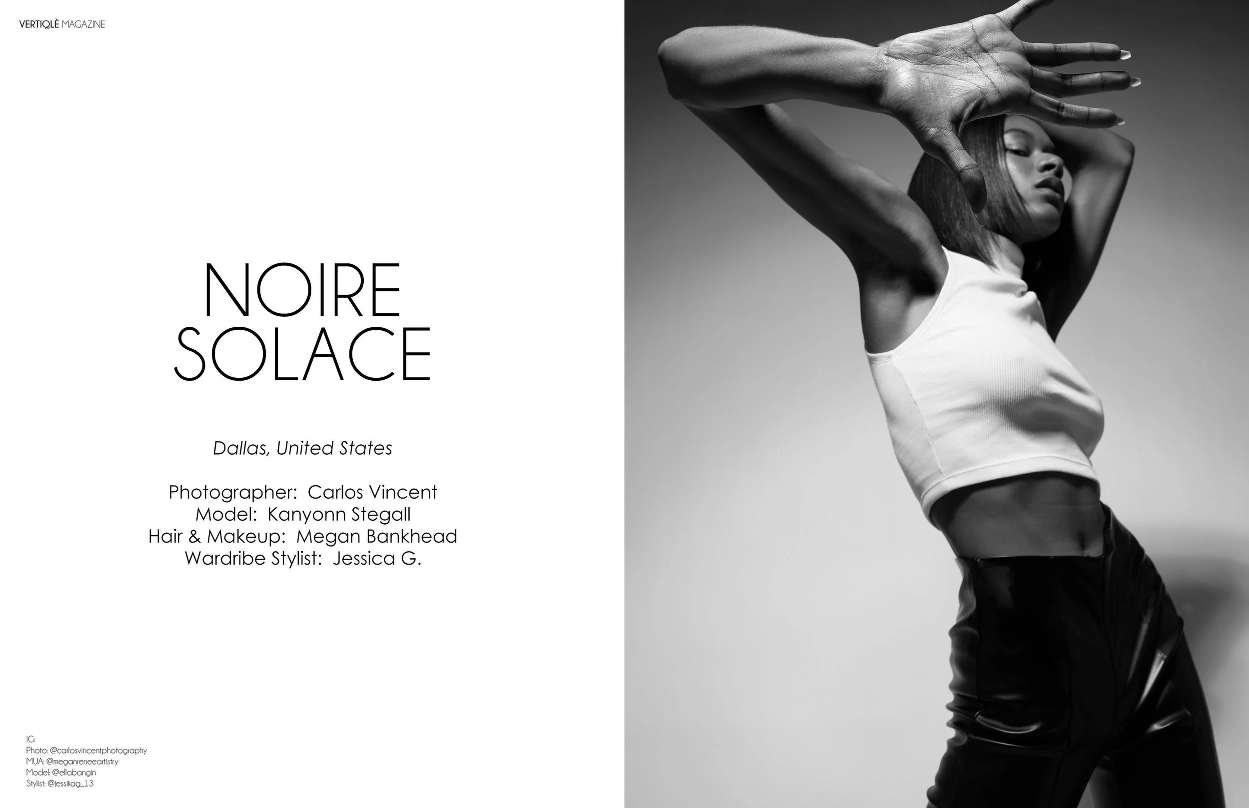 VertiqleIssue17Vol02Pages11.jpg