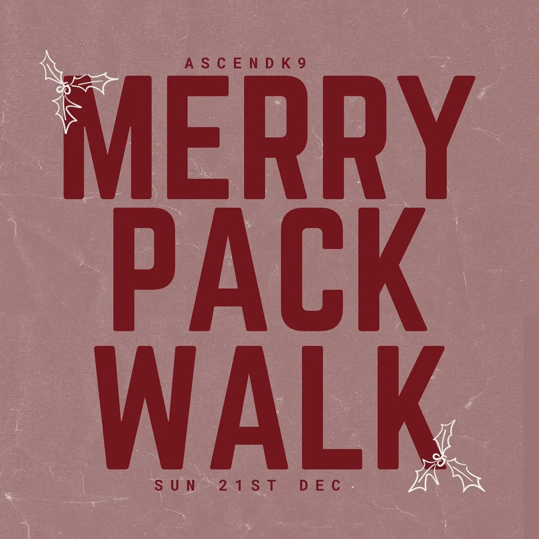 🎄 ASCENDK9 Merry Pack Walk 🎄

Join us on Sunday 21st December at 11AM at Panshanger Park, Hertford for a festive stroll! 🐾

We&rsquo;ll be taking a scenic on-lead route, suitable for dogs of all ages and abilities. Our focus, as always, is on neut