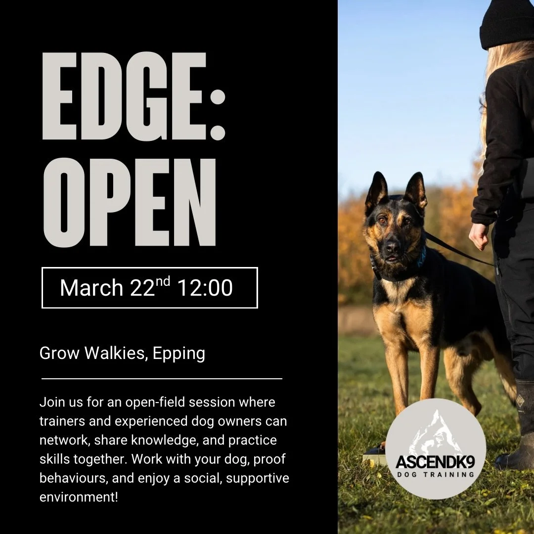 🐶🌸 Our open-field sessions have been a hit in the past, and with spring just around the corner, it felt like the perfect time to add this to the calendar!

This one-hour session is intended for trainers and experienced dog owners who live and breat
