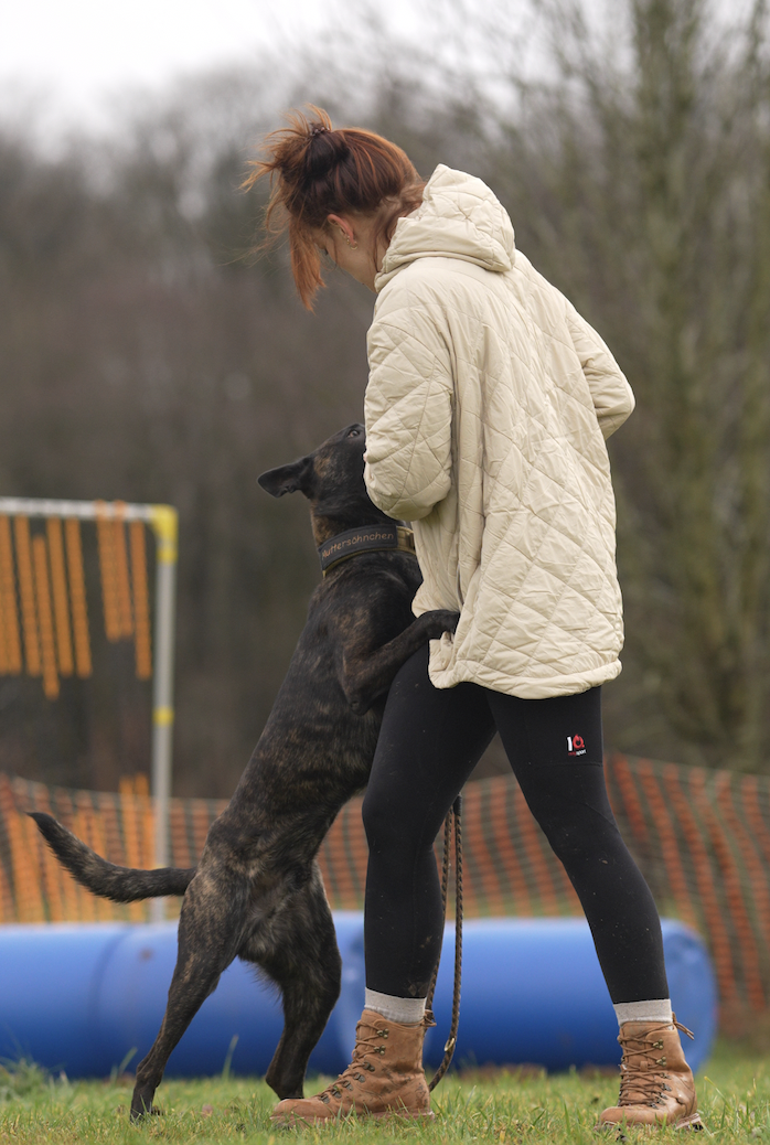 The 5 biggest lies we tell ourselves in dog sport.