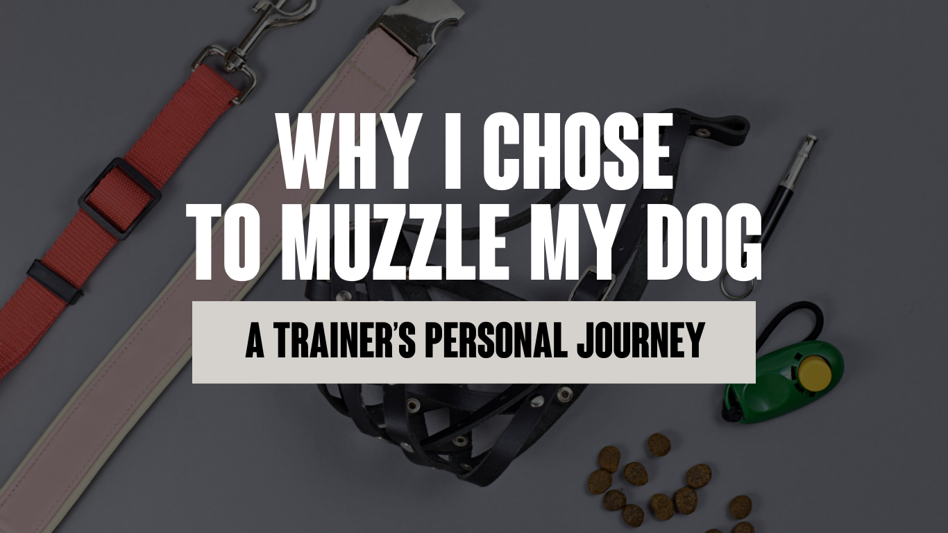 Why I Chose to Muzzle My Dog, Kaiser: A Trainer's Personal Journey