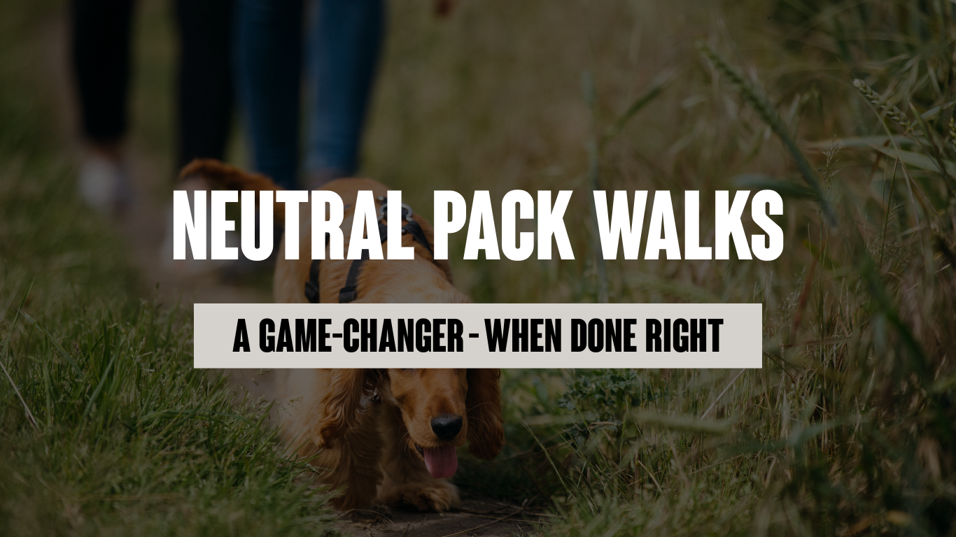 Why Neutral Pack Walks Can Be a Game-Changer - If They’re Done Right