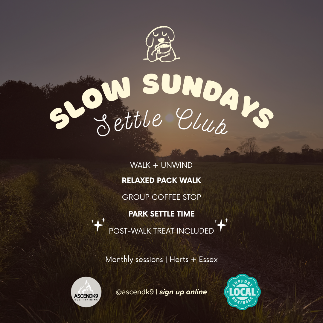 Slow Sundays Settle Club Panshanger Park