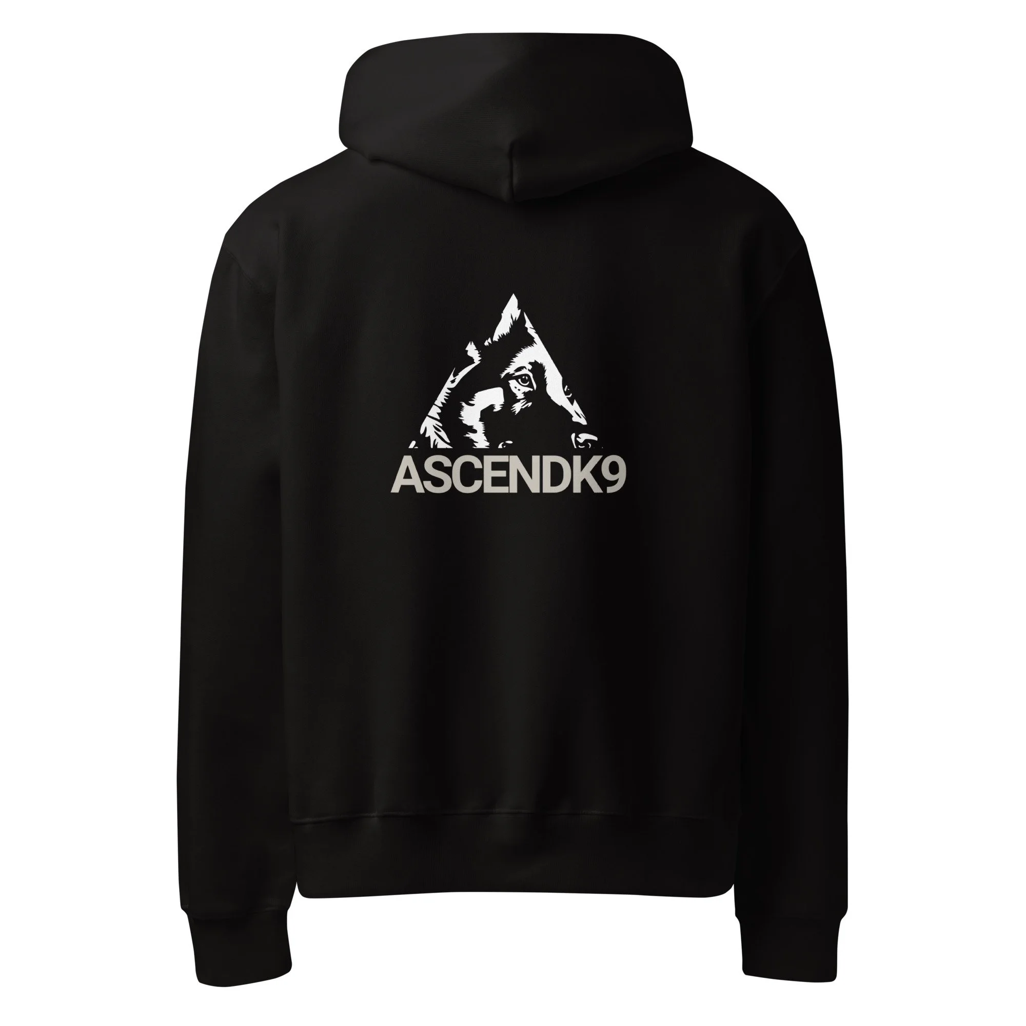 unisex-oversized-heavyweight-hoodie-black-back-6a00f73d0adac.jpg