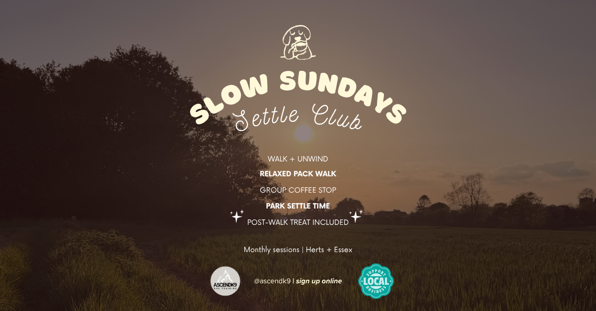 Introducing Slow Sundays Settle Club
