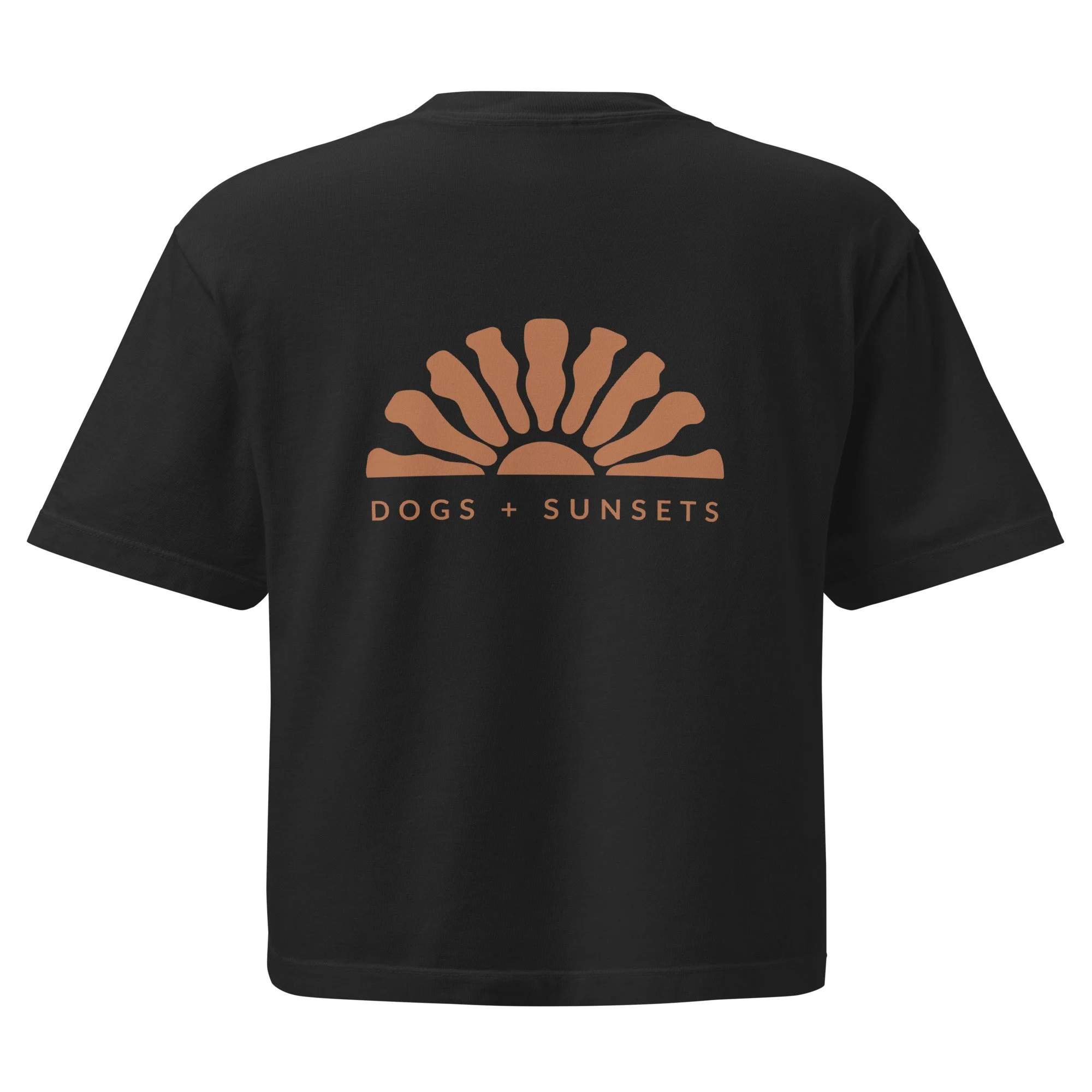 womens-heavyweight-boxy-t-shirt-black-back-6a1529f65f575.jpg